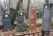 Шапиро Илья Эзерович, Москва, Востряковское кладбище