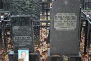 Прилуцкий Наум Исаакович, Москва, Востряковское кладбище