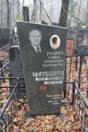 Гельфман Петр Моисеевич, Москва, Востряковское кладбище
