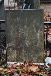 Розенштейн Роза Рубимовна, Москва, Востряковское кладбище