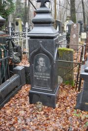 Левштейн Яков Иосифович, Москва, Востряковское кладбище