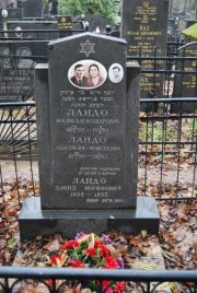 Ландо Иосиф Александрович, Москва, Востряковское кладбище