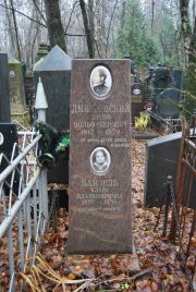 Дмитровский Иосиф Вольф-Берович, Москва, Востряковское кладбище
