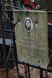 Цингер Абрам Амшеевич, Москва, Востряковское кладбище