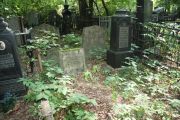 Сапиро Александр Львович, Москва, Востряковское кладбище