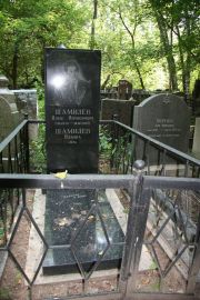 Шамилев Илья Израилович, Москва, Востряковское кладбище
