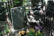 Агроскина Дора Самойловна, Москва, Востряковское кладбище