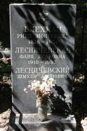 Лесничевский Шмуль Аронович, Москва, Востряковское кладбище