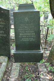 Шахновский Герш Беркович, Москва, Востряковское кладбище