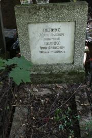 Пеликс Айзик Львович, Москва, Востряковское кладбище