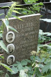 Анелис Юрий , Москва, Востряковское кладбище