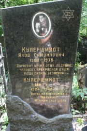 Купершмидт Яков Самойлович, Москва, Востряковское кладбище