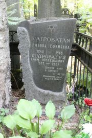 Шатроватый Ефим Шевельевич, Москва, Востряковское кладбище