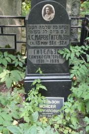 Гительзон Самуил Григорьевич, Москва, Востряковское кладбище