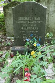 Шнейдерман Александр Владимирович, Москва, Востряковское кладбище