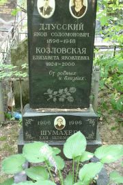 Шумахер Хая Шлемовна, Москва, Востряковское кладбище