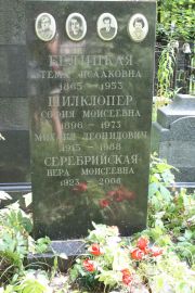 Серебрийская Вера Моисеевна, Москва, Востряковское кладбище