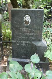 Цукерман Иосиф Самуилович, Москва, Востряковское кладбище
