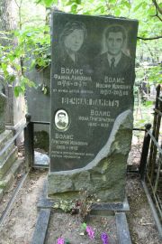 Волис Иосиф Ионович, Москва, Востряковское кладбище
