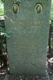 Шепшелевич Иосиф Борисович, Москва, Востряковское кладбище