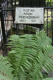 Коган Арон Иосифович, Москва, Востряковское кладбище