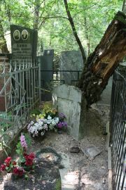 Борода Фейга Наумовна, Москва, Востряковское кладбище