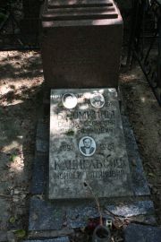 Кацнельсон Моисей Натанович, Москва, Востряковское кладбище