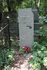 Гольцман М. С., Москва, Востряковское кладбище