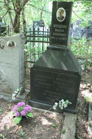 Левинсон Залмон Лазаревич, Москва, Востряковское кладбище