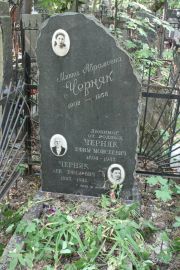 Черняк Минна Абрамовна, Москва, Востряковское кладбище