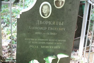 Дворкин Александр Евсеевич