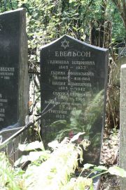 Евельсон Елишева Шлемовна, Москва, Востряковское кладбище