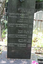 Шмуйлович Израиль Львович, Москва, Востряковское кладбище