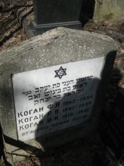 Коган И. И., Москва, Востряковское кладбище