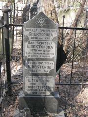 Шпекторова Пая Берковна, Москва, Востряковское кладбище