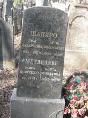 Шапиро Лия Лазаревна, Москва, Востряковское кладбище