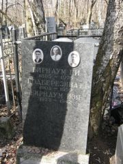 Бирнаум Г. И., Москва, Востряковское кладбище