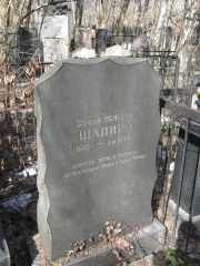 Шапиро Софья Исаевна, Москва, Востряковское кладбище