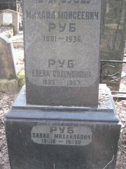Руб Давид Михайловна, Москва, Востряковское кладбище