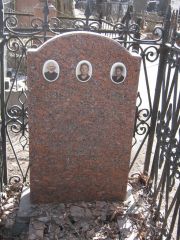 Миропольский Илья Вольфович, Москва, Востряковское кладбище