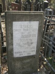Азбель Симон Михайлович, Москва, Востряковское кладбище