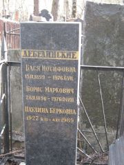 Лебединская Бася Иосифовна, Москва, Востряковское кладбище