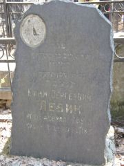 Левин Ефим Сергеевич, Москва, Востряковское кладбище