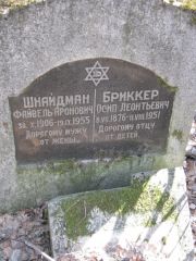 Бриккер Осип Леонтьевич, Москва, Востряковское кладбище