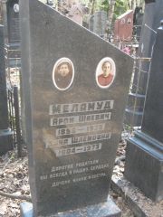 Меламуд Арон Шаевич, Москва, Востряковское кладбище