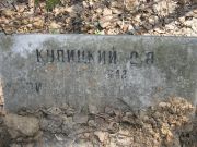 Пин-Купицкая Р. Г., Москва, Востряковское кладбище