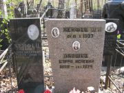 Лившиц Сарра Исаевна, Москва, Востряковское кладбище
