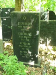 Агроскина Ита Натановна, Москва, Востряковское кладбище