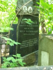 Шульман Альтер Менделевич, Москва, Востряковское кладбище