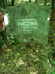 Богорова Дина-Руха Шоломовна, Москва, Востряковское кладбище